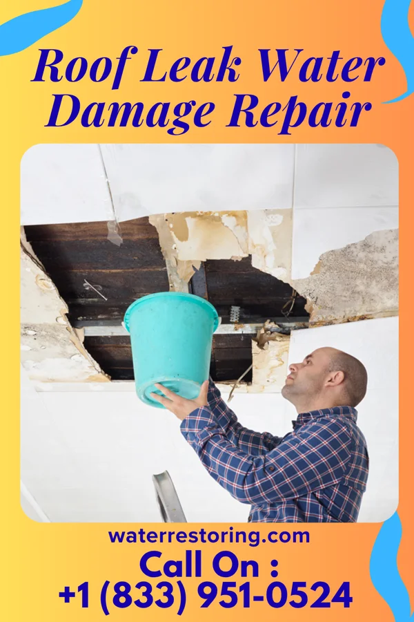 Roof Leak Water Damage Repair in Woods Cross, UT