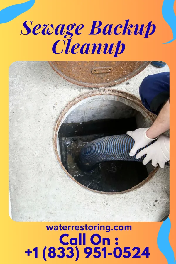 Sewage Backup Cleanup in Woods Cross, UT